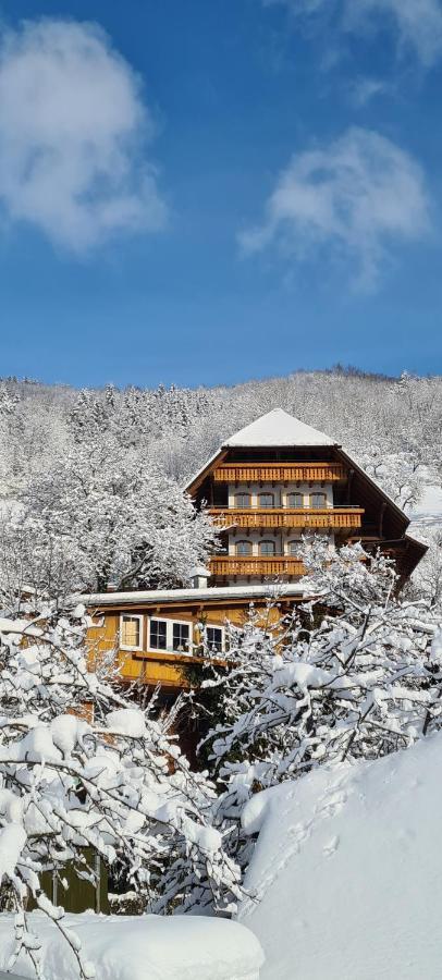 Aparthotel Ehrenmaettlehof Faisst à Bad Peterstal-Griesbach Extérieur photo
