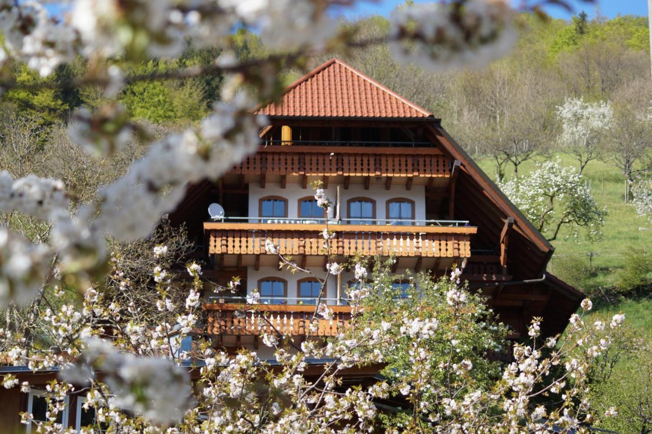 Aparthotel Ehrenmaettlehof Faisst à Bad Peterstal-Griesbach Extérieur photo