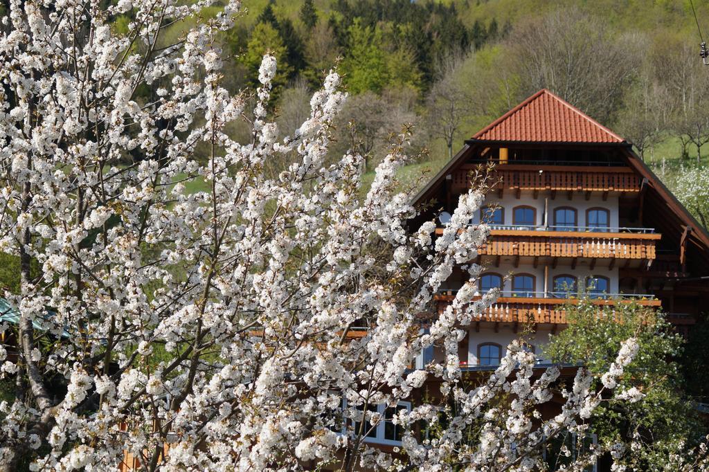 Aparthotel Ehrenmaettlehof Faisst à Bad Peterstal-Griesbach Chambre photo