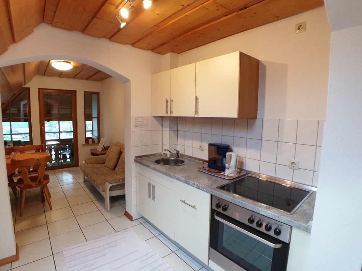 Aparthotel Ehrenmaettlehof Faisst à Bad Peterstal-Griesbach Extérieur photo