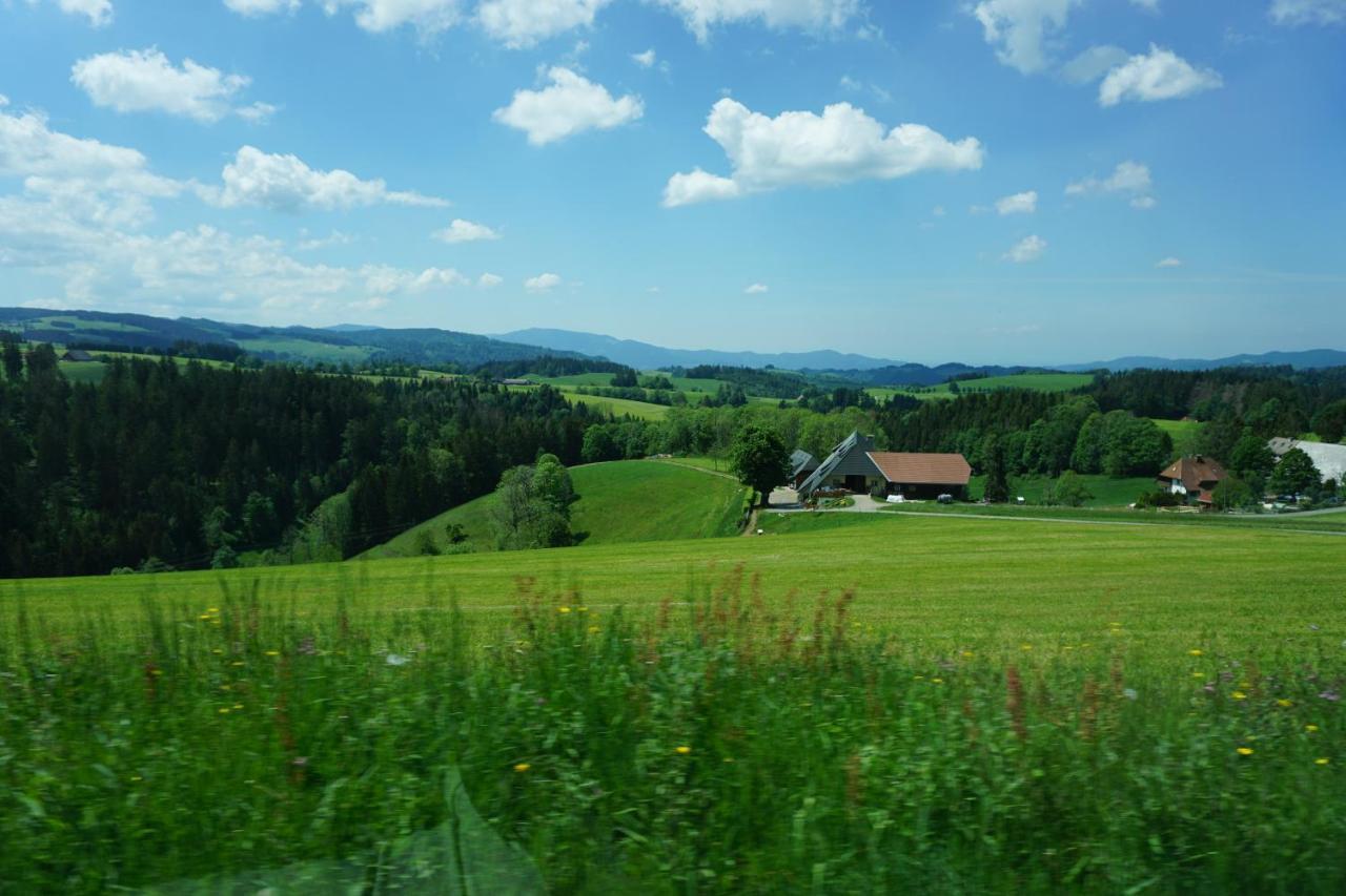 Aparthotel Ehrenmaettlehof Faisst à Bad Peterstal-Griesbach Extérieur photo